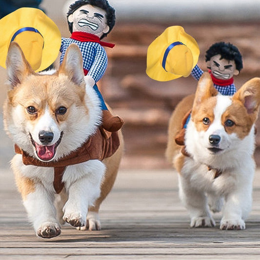 Horse Riding Costume for Dog/Cat
